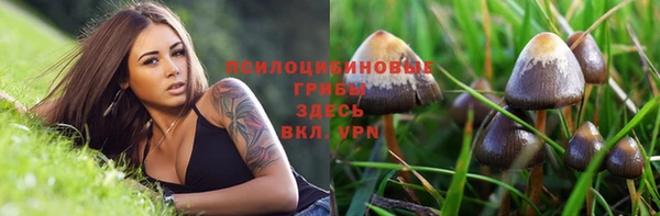 первитин Белоозёрский