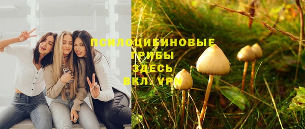дмт Белокуриха