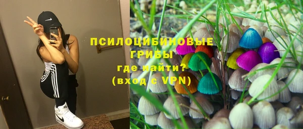 бошки Беломорск