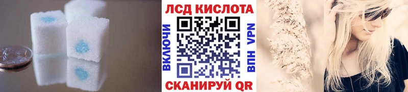 darknet официальный сайт  магазин  наркотиков  Болохово  LSD-25 экстази ecstasy  OMG как войти 