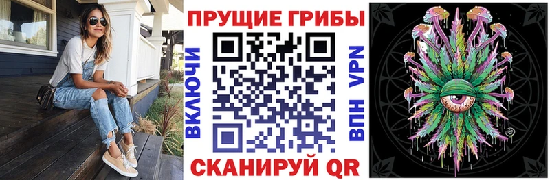 Галлюциногенные грибы Psilocybine cubensis  Болохово 