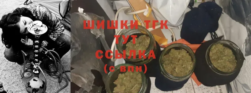 Конопля Ganja  Болохово 